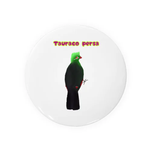 見返り美鳥（ギニアエボシドリ）① Tin Badge