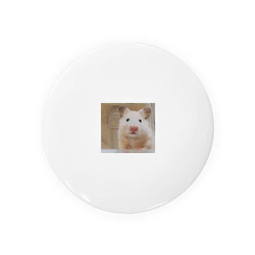 hamster Tin Badge