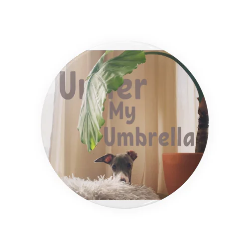 (Penny is) under my umbrella 缶バッジ