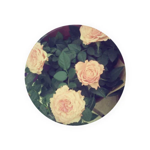 Rose Tin Badge