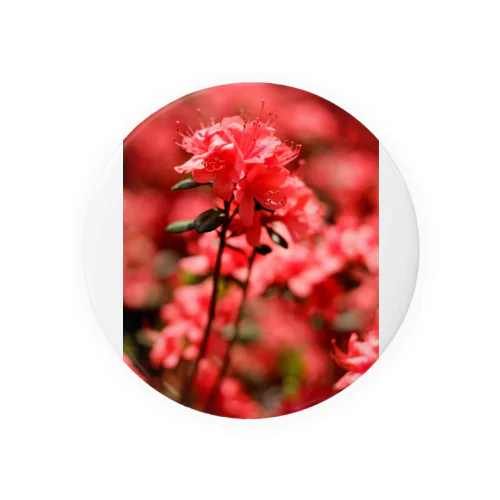 FLOWERS-あか- Tin Badge