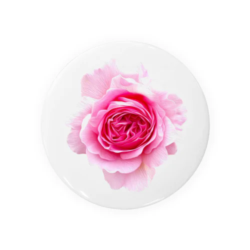 【ロマンスキザ】ピンクの薔薇 缶バッジ