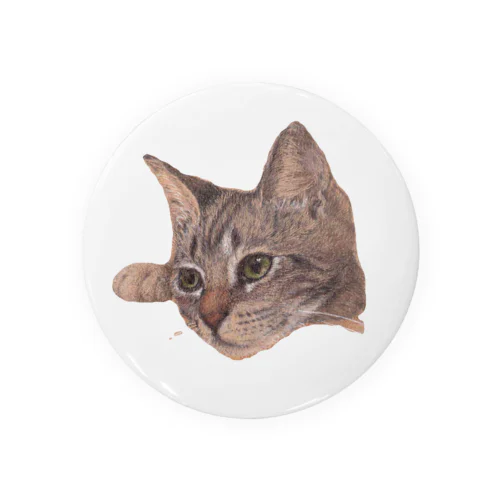 仔猫のくらら Tin Badge