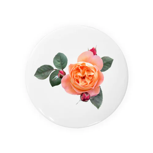 【ロマン】蕾と葉のついたオレンジピンクの薔薇 Tin Badge