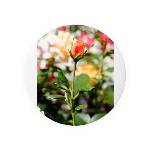 FLOWERS-蕾- Tin Badge