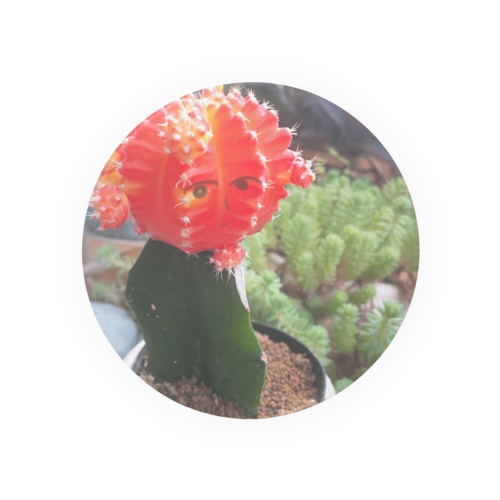 ひぼたんの花子さん Tin Badge