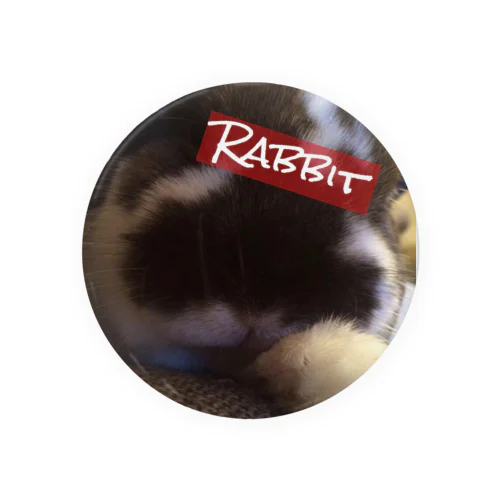 Charisma Rabbit 2 Tin Badge