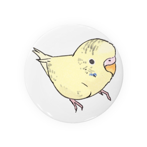 可愛いセキセイインコ　おすましちゃん【まめるりはことり】 Tin Badge