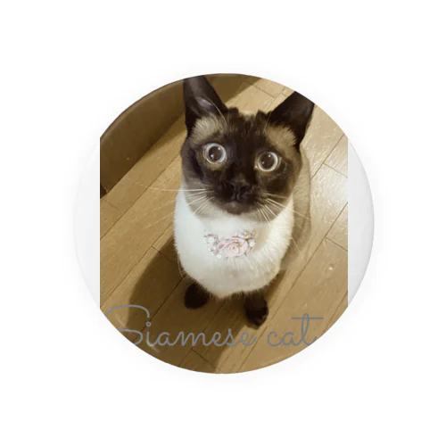 Siamese cat シャム猫 Tin Badge