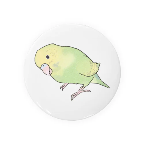 首傾げ　スパングルセキセイインコちゃん【まめるりはことり】 Tin Badge