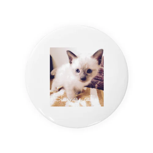 Siamese cat シャム猫 Tin Badge