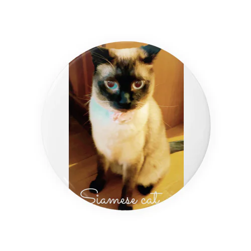 Siamese cat シャム猫 Tin Badge