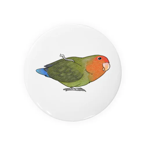 おすましコザクラインコ　きなこちゃん【まめるりはことり】 Tin Badge