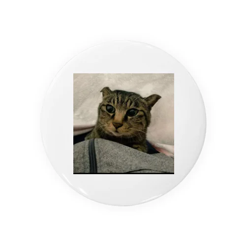 世界一可愛い猫のグッズ Tin Badge