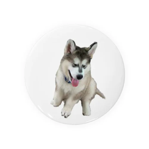 子犬時代　つばめしゃん Tin Badge