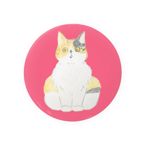 ビックリ顔の三毛猫つぼみ Tin Badge