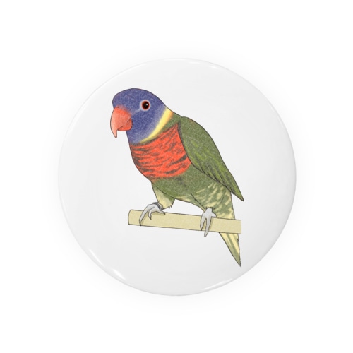 色合いが綺麗なゴシキセイガイインコちゃん【まめるりはことり】 Tin Badge