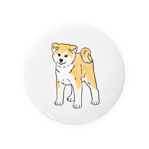 秋田犬の展覧会立ち込み練習 Tin Badge