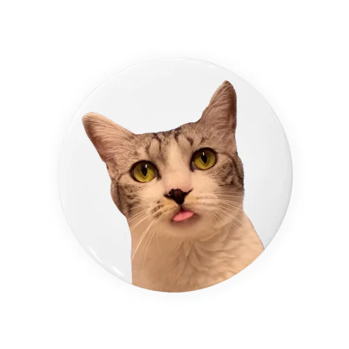 んべ、な保護猫ルッコラ Tin Badge