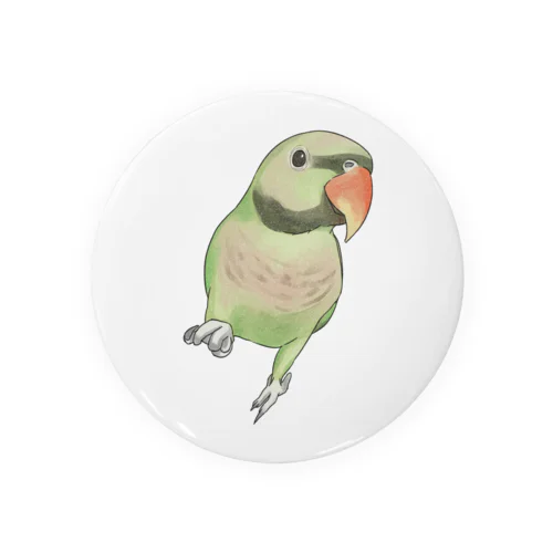 ご機嫌なダルマインコちゃん【まめるりはことり】 Tin Badge