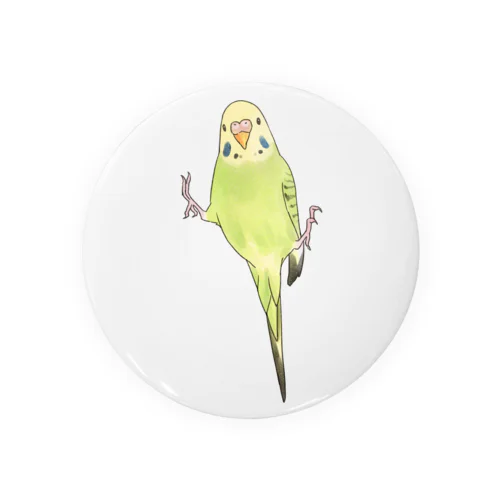 ピタッとセキセイインコちゃん【まめるりはことり】 Tin Badge