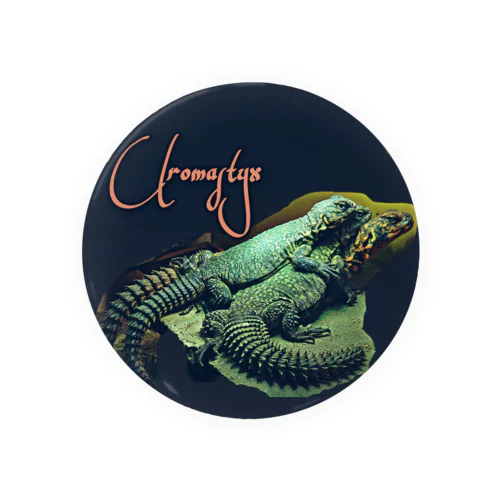 Uromastyx Tin Badge