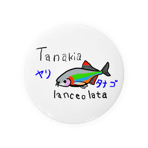 ヤリタナゴ Tin Badge