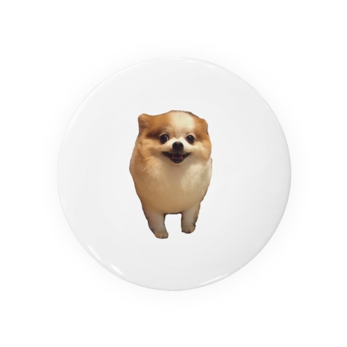 ポメラニアンめい Tin Badge