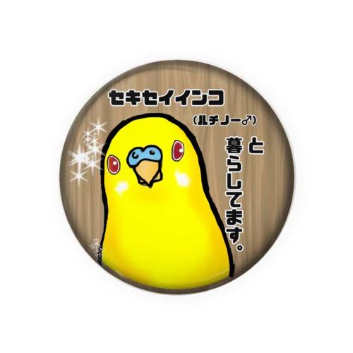 セキセイインコルチノー♂ Tin Badge