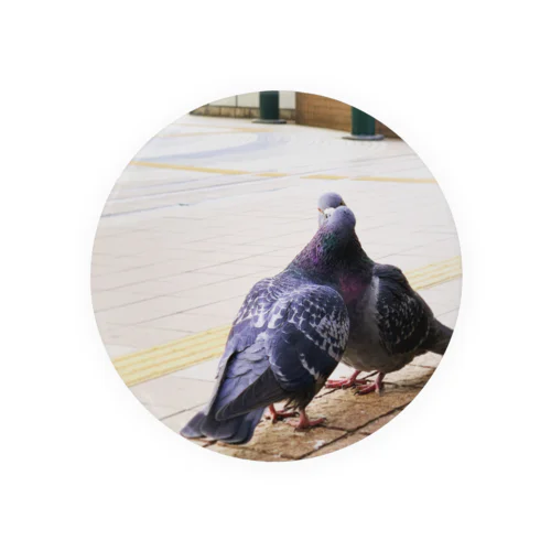 2  pigeons, in winter. Tin Badge