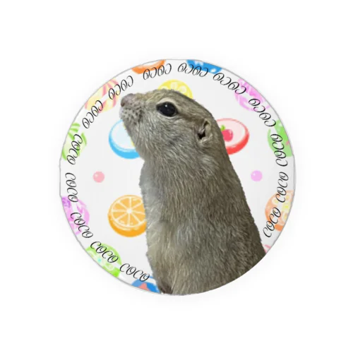 こっちゃん Tin Badge