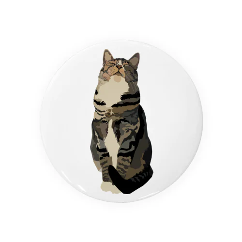 Tabby Cat Tin Badge