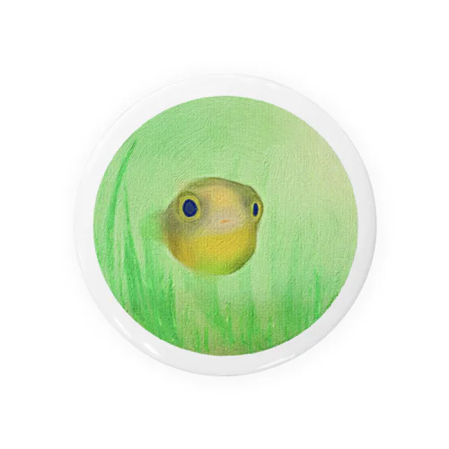 熱帯魚シリーズ Tin Badge