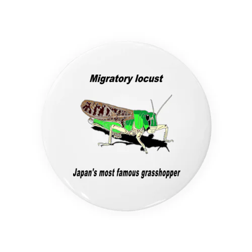 トノサマバッタ1 Tin Badge