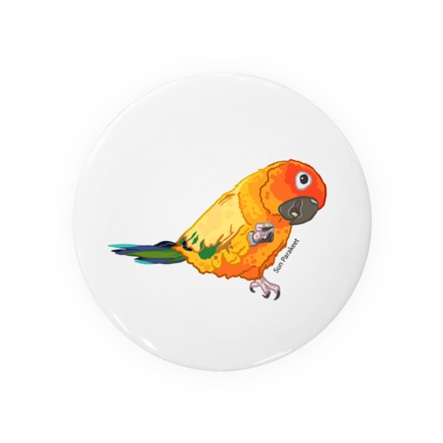 クルミを食べるコガネメキシコインコ。 Tin Badge