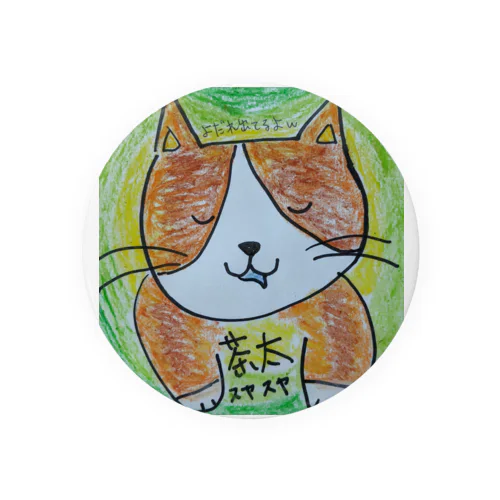 爆睡猫 Tin Badge