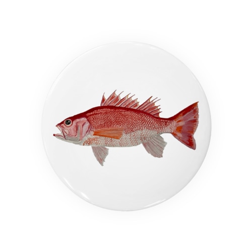 ノドグロ　ですヨ‼️ Tin Badge