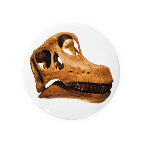 ブラキオサウルス 頭骨 缶バッジ
