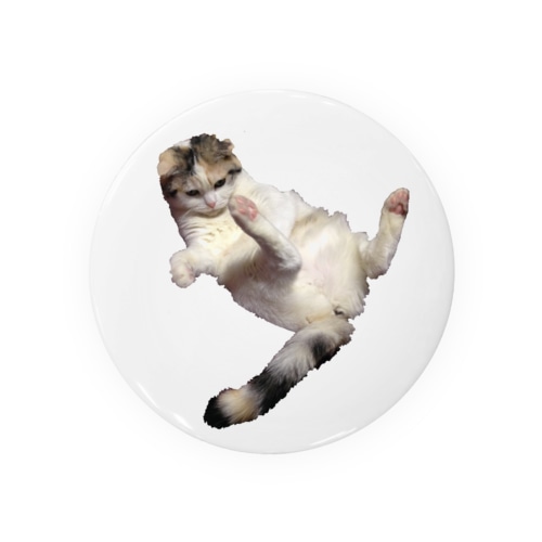 起き上がりたい猫 Tin Badge