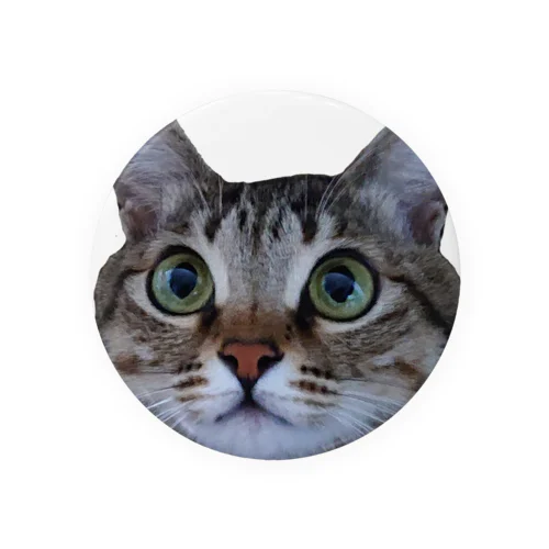 キジトラねこ Tin Badge