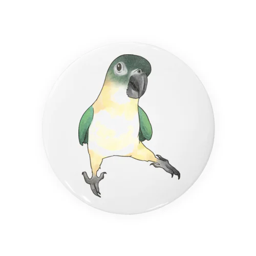 ご機嫌なズグロシロハラインコのカイ君【まめるりはことり】 Tin Badge