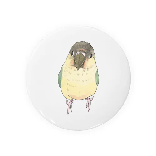 可愛いウロコメキシコインコちゃん【まめるりはことり】 Tin Badge