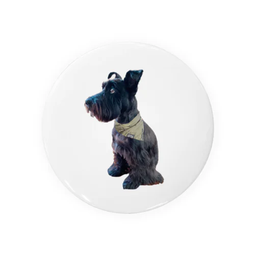 おすわりKURO シュナウザー 黒い犬 dog クロ Tin Badge