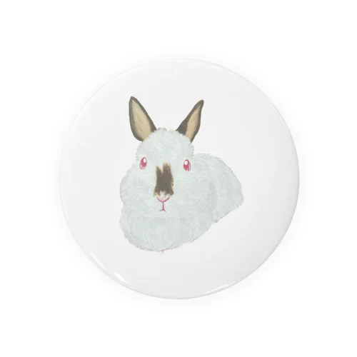 うさぎさん🐰ヒマラヤン Tin Badge