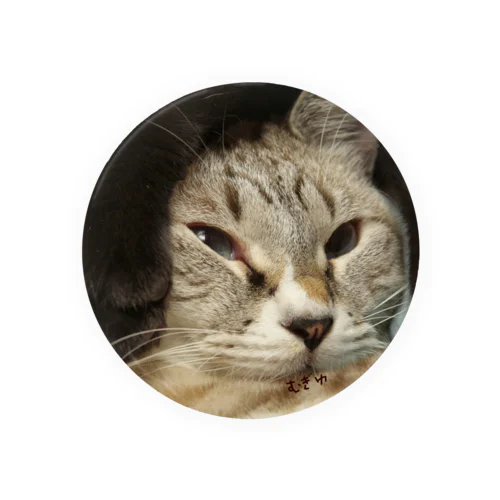 うちの猫シェイミの変顔 Tin Badge