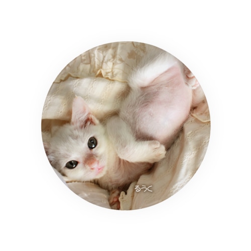 2011保護猫　るうく改め「チロルちゃん」 Tin Badge