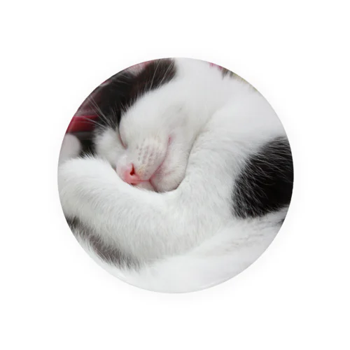 2012保護猫　うっしー改め「にこちゃん」 Tin Badge