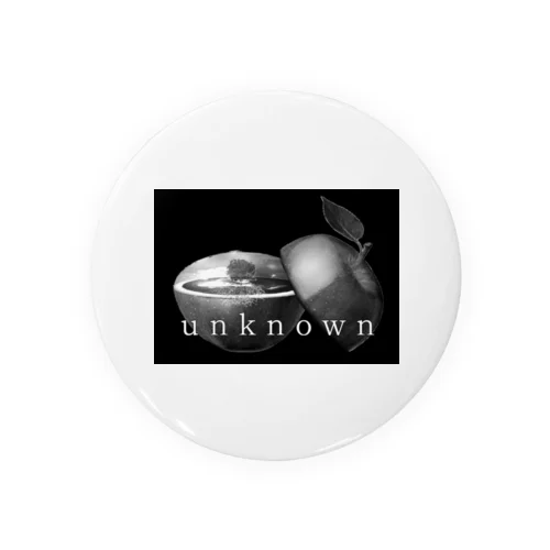 unknown  flat earth 缶バッジ