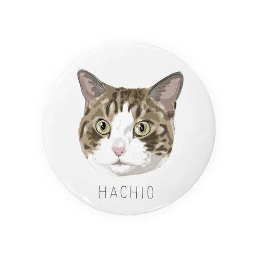 hachio Tin Badge