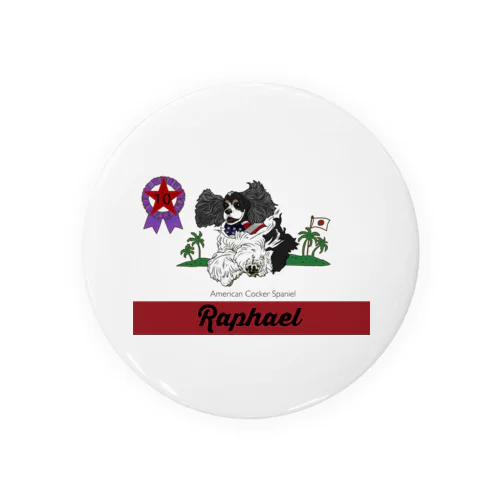 Raphael  Tin Badge